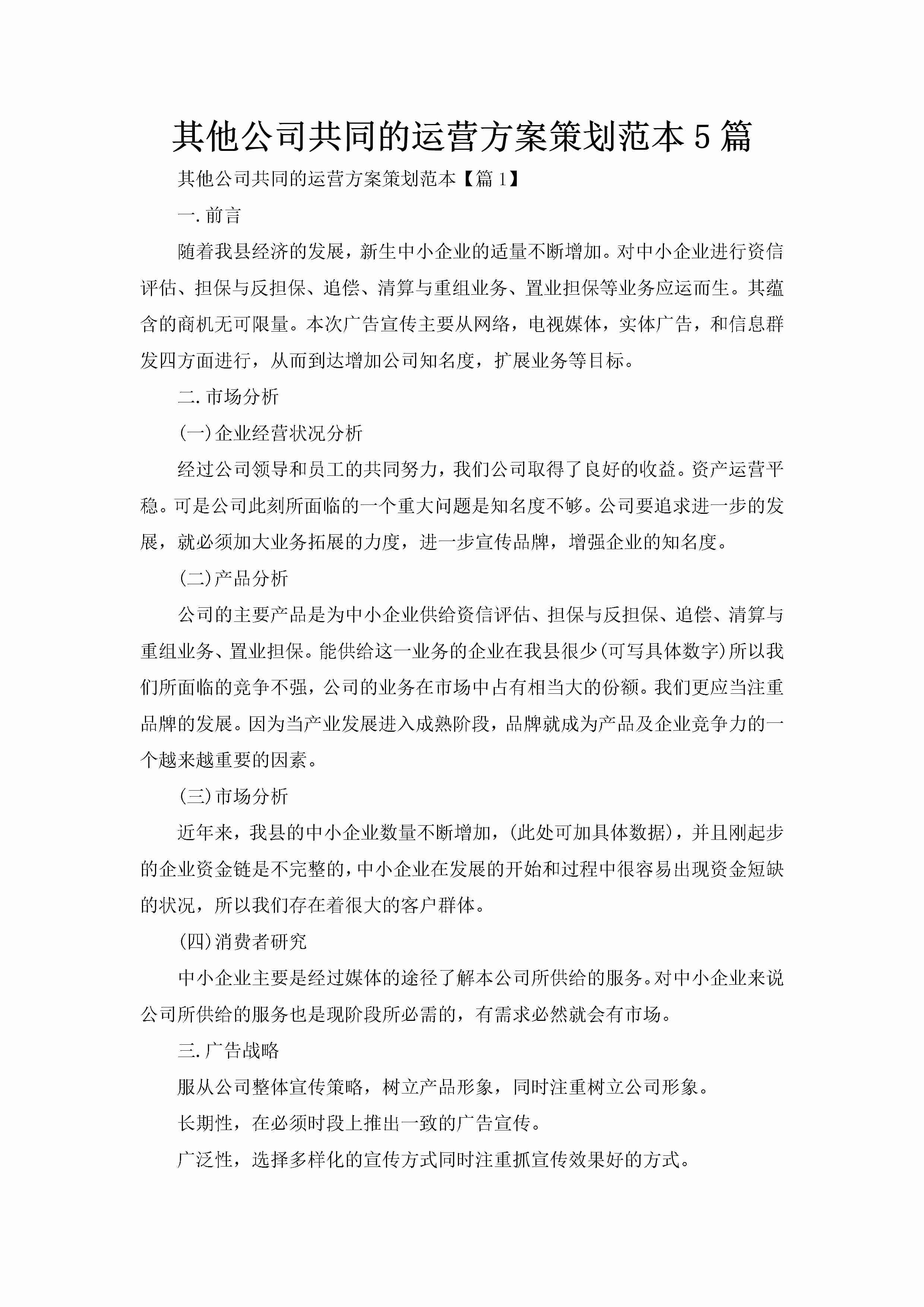 其他公司共同的运营方案策划范本5篇-聚给网