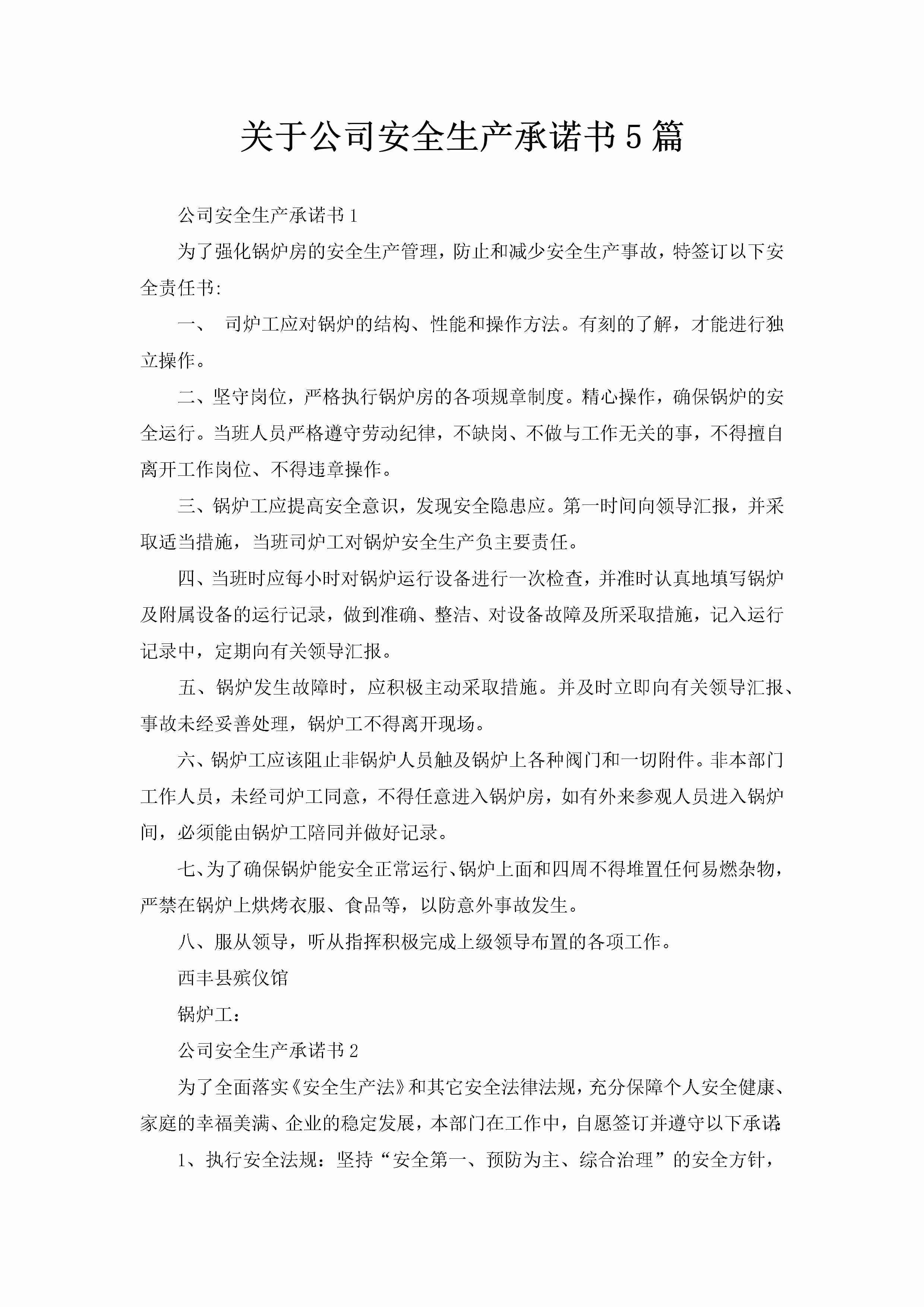 关于公司安全生产承诺书5篇-聚给网